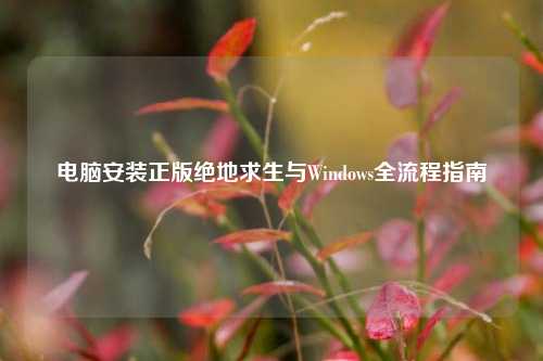 电脑安装正版绝地求生与Windows全流程指南