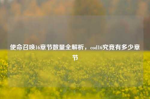 使命召唤16章节数量全解析，cod16究竟有多少章节