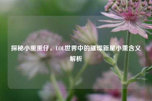 探秘小熏熏仔，LOL世界中的璀璨新星小薰含义解析