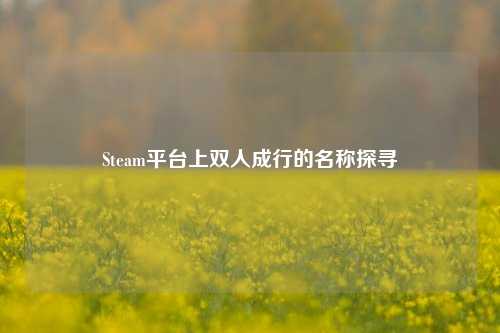 Steam平台上双人成行的名称探寻