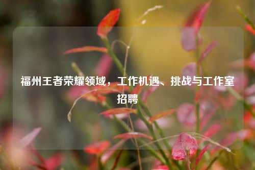 福州王者荣耀领域，工作机遇、挑战与工作室招聘