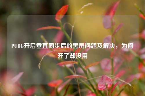 PUBG开启垂直同步后的黑屏问题及解决，为何开了却没用
