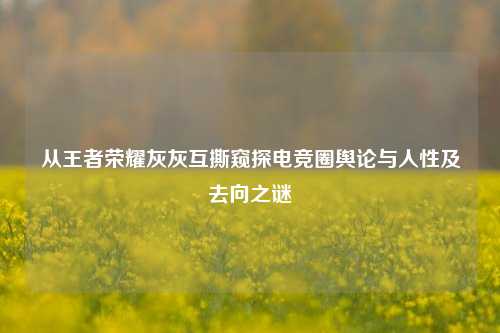 从王者荣耀灰灰互撕窥探电竞圈舆论与人性及去向之谜