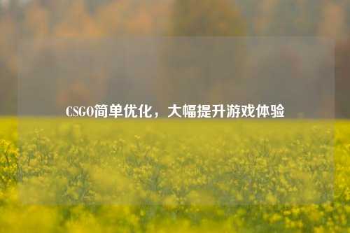 CSGO简单优化，大幅提升游戏体验