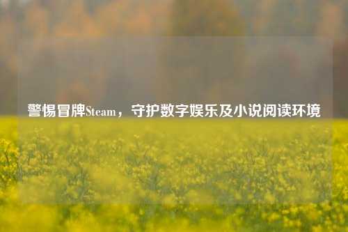 警惕冒牌Steam，守护数字娱乐及小说阅读环境