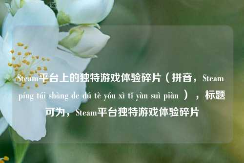 Steam平台上的独特游戏体验碎片（拼音，Steam píng tái shàng de dú tè yóu xì tǐ yàn suì piàn ） ，标题可为，Steam平台独特游戏体验碎片