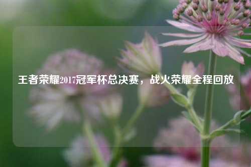 王者荣耀2017冠军杯总决赛，战火荣耀全程回放