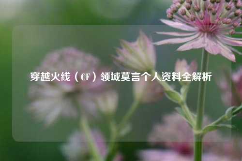 穿越火线（CF）领域莫言个人资料全解析