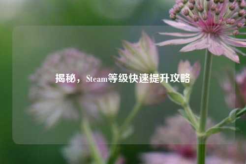 揭秘，Steam等级快速提升攻略