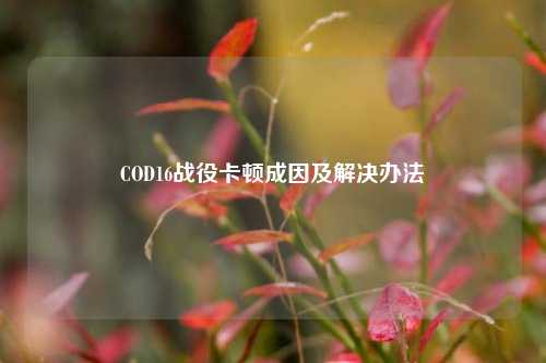 COD16战役卡顿成因及解决办法