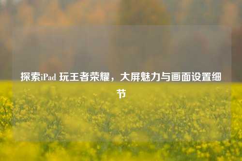 探索iPad 玩王者荣耀，大屏魅力与画面设置细节