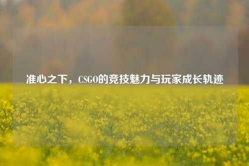 准心之下，CSGO的竞技魅力与玩家成长轨迹