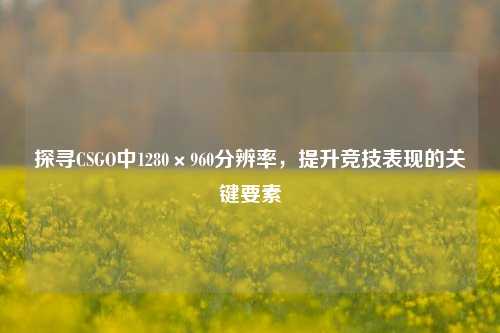 探寻CSGO中1280×960分辨率，提升竞技表现的关键要素