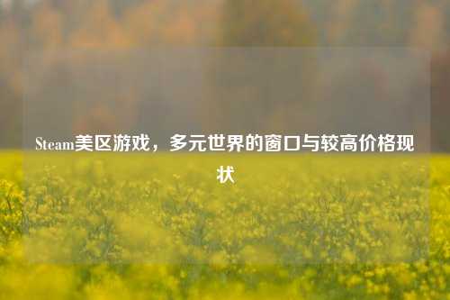 Steam美区游戏，多元世界的窗口与较高价格现状