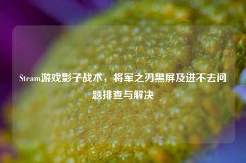 Steam游戏影子战术，将军之刃黑屏及进不去问题排查与解决