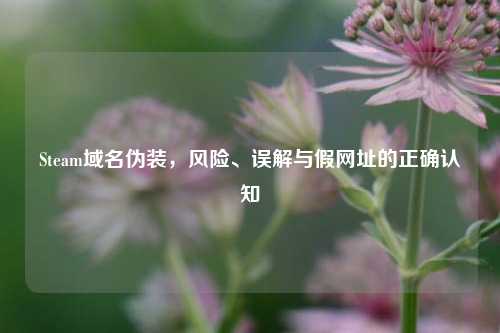 Steam域名伪装，风险、误解与假网址的正确认知