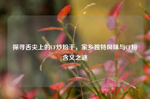 探寻舌尖上的CF炒粉干，家乡独特风味与CF粉含义之谜