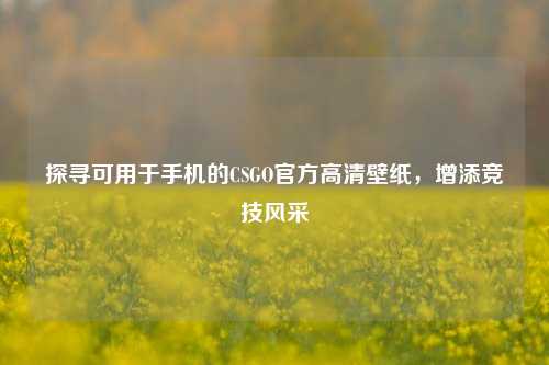 探寻可用于手机的CSGO官方高清壁纸，增添竞技风采