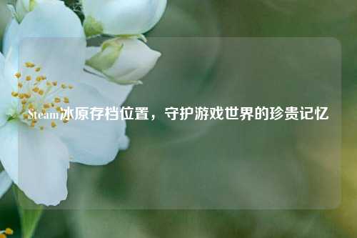Steam冰原存档位置，守护游戏世界的珍贵记忆