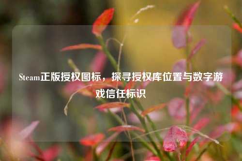 Steam正版授权图标，探寻授权库位置与数字游戏信任标识