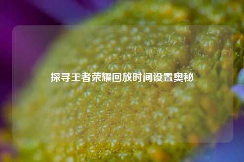 探寻王者荣耀回放时间设置奥秘