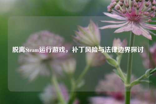 脱离Steam运行游戏，补丁风险与法律边界探讨