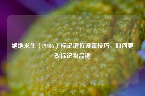 绝地求生（PUBG）标记键位设置技巧，如何更改标记物品键