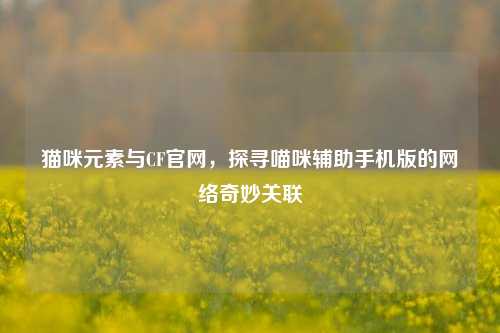 猫咪元素与CF官网，探寻喵咪辅助手机版的网络奇妙关联