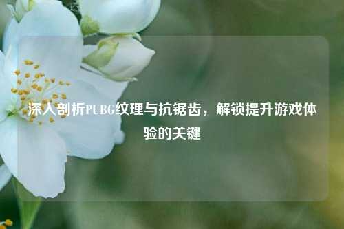 深入剖析PUBG纹理与抗锯齿，解锁提升游戏体验的关键