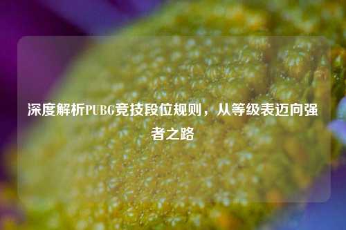 深度解析PUBG竞技段位规则，从等级表迈向强者之路