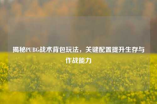 揭秘PUBG战术背包玩法，关键配置提升生存与作战能力