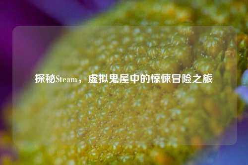 探秘Steam，虚拟鬼屋中的惊悚冒险之旅