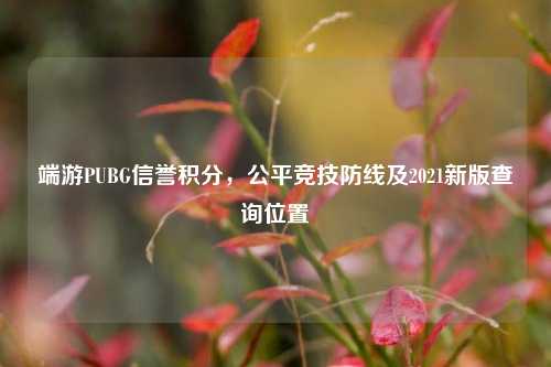 端游PUBG信誉积分，公平竞技防线及2021新版查询位置