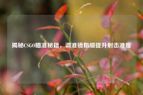 揭秘CSGO瞄准秘籍，调准镜粗细提升射击准度