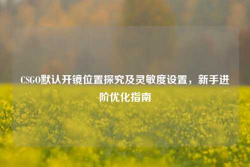 CSGO默认开镜位置探究及灵敏度设置，新手进阶优化指南