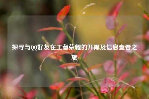 探寻与QQ好友在王者荣耀的开黑及信息查看之旅