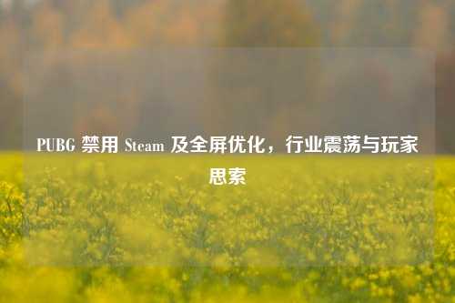 PUBG 禁用 Steam 及全屏优化，行业震荡与玩家思索
