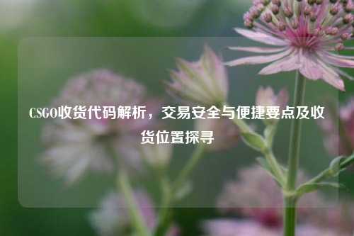 CSGO收货代码解析，交易安全与便捷要点及收货位置探寻