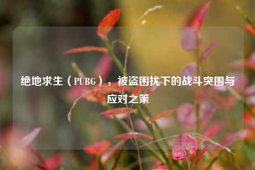 绝地求生（PUBG），被盗困扰下的战斗突围与应对之策