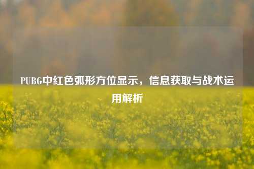 PUBG中红色弧形方位显示，信息获取与战术运用解析