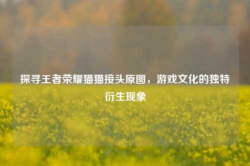 探寻王者荣耀猫猫接头原图，游戏文化的独特衍生现象
