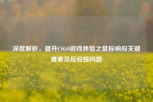 深度解析，提升CSGO游戏体验之鼠标响应关键要素及反应慢问题