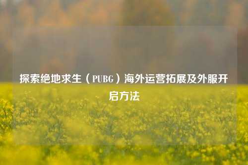 探索绝地求生（PUBG）海外运营拓展及外服开启方法