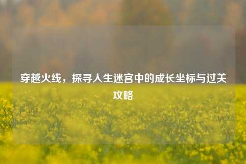 穿越火线，探寻人生迷宫中的成长坐标与过关攻略