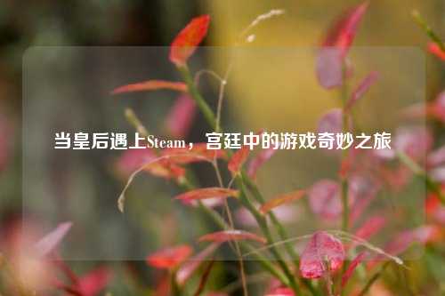 当皇后遇上Steam，宫廷中的游戏奇妙之旅