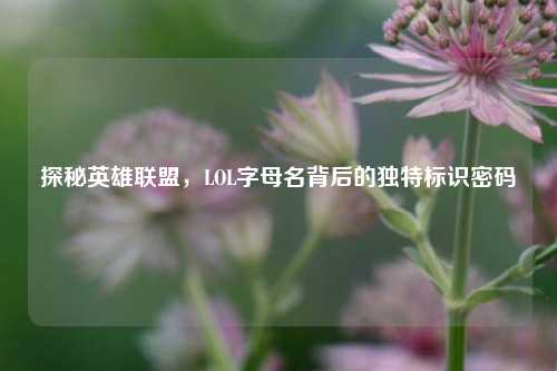 探秘英雄联盟，LOL字母名背后的独特标识密码