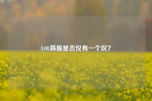 LOL韩服是否仅有一个区？