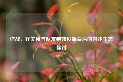 逆战，TP关闭与队友特效设置背后的游戏生态探讨