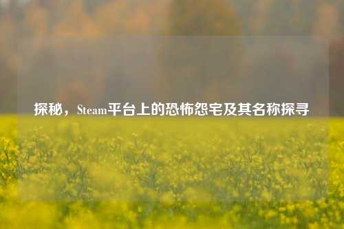 探秘，Steam平台上的恐怖怨宅及其名称探寻