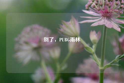 别了，PUBG雨林